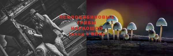 соль ск Алексеевка