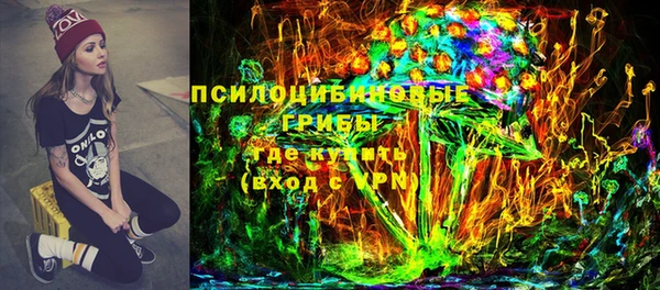 кокс Белокуриха