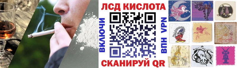 закладки  Кодинск  Наркотические марки 1500мкг 
